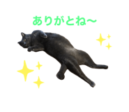 509716770