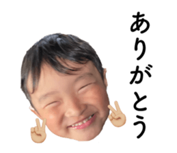 509717954