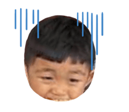 509795768