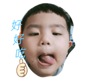 509816659