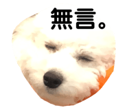 509838907