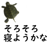 50984496