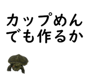 50984507