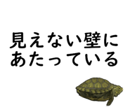 50984508