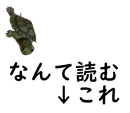 50984513
