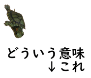 50984514
