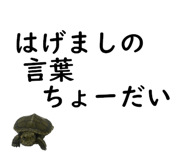 50984519