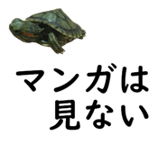 50984521