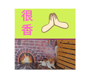 509845571