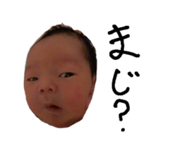 509852240