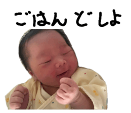 509852251