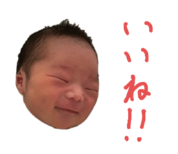 509852253