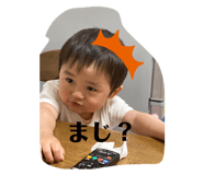 509869691