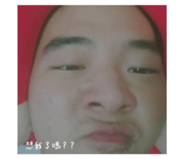 509908802