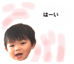 509977541