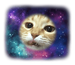 510050898