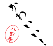 510056883