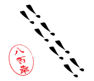 510056888