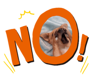 510063857
