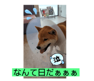 510076519