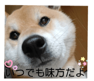 510076522