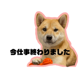 510080232