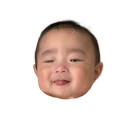 510080803