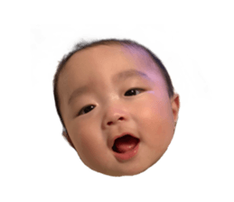 510080810