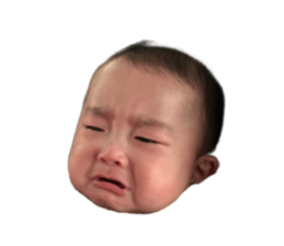 510080816