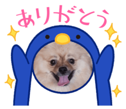 510085864