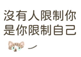 510089271