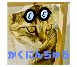 510105015