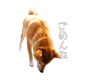 510109704
