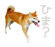 510109706