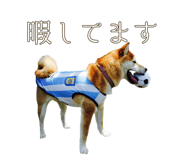 510109707