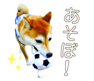 510109708