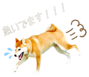 510109710