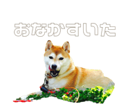510109713