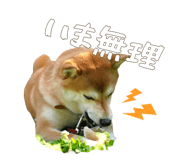 510109714