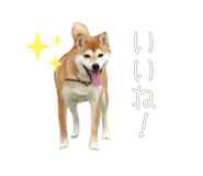 510109715