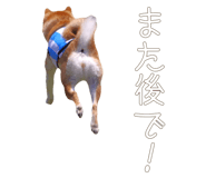 510109717