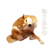 510109718