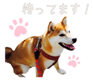 510109719