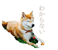 510109721