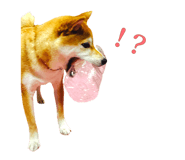510109726