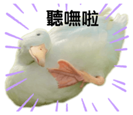 510119787