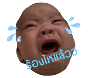 510144370