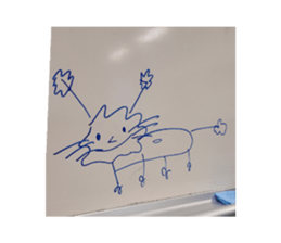 510181577