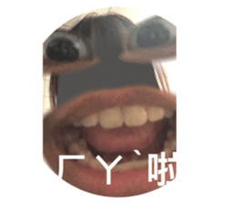 510187697