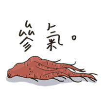 510204056